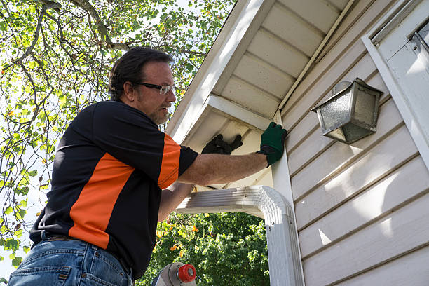 Affordable siding repair and maintenance services in Vernonia, OR